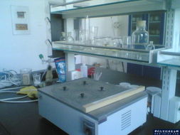 石家莊華宇新銳科技 為保定實驗室提供高品質家具與通風柜等配套設備解決方案